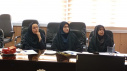 کارگاه پژوهشی «ایدهپردازی تا نوآوری و تجاریسازی در حوزه سلامت» ویژه اعضای هیات علمی برگزار شد