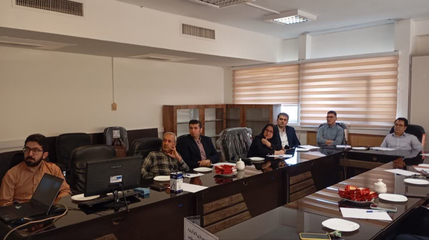 کارگاه پژوهشی «ایدهپردازی تا نوآوری و تجاریسازی در حوزه سلامت» ویژه اعضای هیات علمی برگزار شد