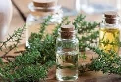 اسانس آویشن و اثرات ضد میکروبی آن