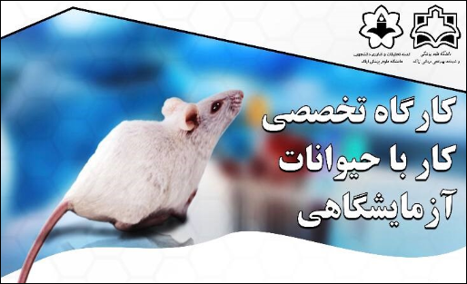 کارگاه  تخصصی کار با حیوانات آزمایشگاهی